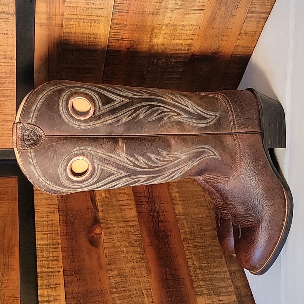 Gorgeous Men's Ariat Cowboy Boots   EUC 11ee